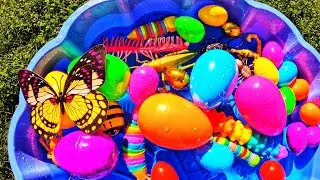 Bugs Surprise Eggs | Learn Bugs Insects Names & Colors: Beetle Dragonfly Locust Butterfly