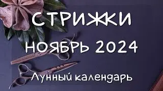 Лунный календарь СТРИЖЕК волос на НОЯБРЬ 24 Благоприятные и неблагоприятные дни 