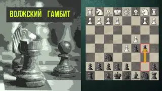 Волжский гамбит. Шахматы