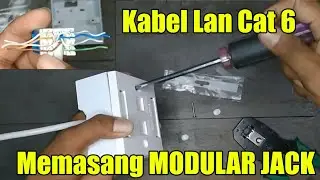 Tutorial Pasang Modular Jack Kabel Lan Cat 6