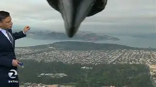 Bird photobombs weather report | KTVU