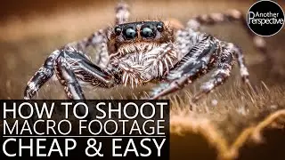 How to shoot STABLE Macro Footage with cheap Slider like a Pro | B-Roll