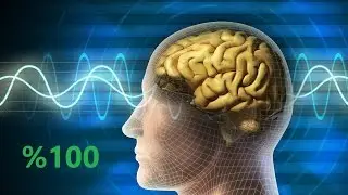 İnsan Beyninin %100'ünü Kullansaydı Ne Olurdu?