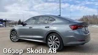 StroiteL: Обзор Skoda Octavia A8 Model (2023)