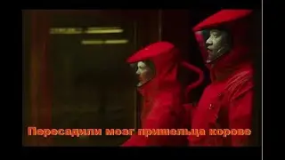 Пересадили мозг пришельца в корову! Название фильма в описании