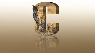 Creating 3D Letter Effects: Top Photoshop Tutorial for Beginners in 2023