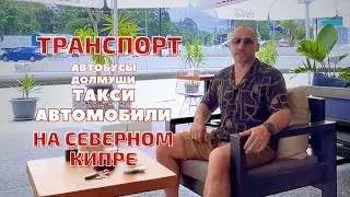 ТРАНСПОРТ НА СЕВЕРНОМ КИПРЕ: Автобусы, долмушы, такси, автомобили и... самокаты.