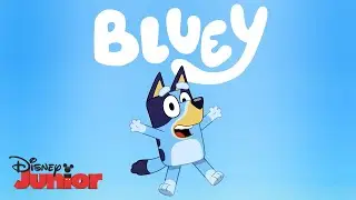 Official Trailer 🎥| Bluey | Disney Junior