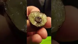 Люди Которые Выиграли В Продуктовую Лотерею 🍓🍰