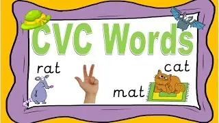 Phonics CVC Words Reading with Phoneme Fingers