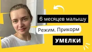 6 МЕСЯЦЕВ МАЛЫШУ. РЕЖИМ. ПРИКОРМ. УМЕЛКИ. РУТИНА