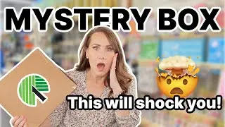 You MUST See these $1 DIYS in this Dollar Tree Mystery Box Challenge