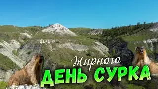 ДЕНЬ Жирного СУРКА на Тропе Сурка)