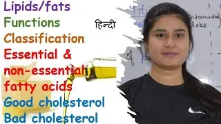 Fats / Lipids | Classification | Functions | Fatty Acids