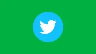 twitter logo blue animation chroma key green screen