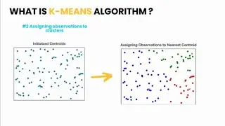 Project 1: Penguin Data Clustering with K-Means, Silhouette Scores, and t-SNE | Machine Learning