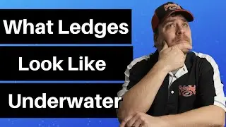 Ledge Fishing Underwater Footage | What Ledges Look Like Underwater | Where Bass Sit on Ledges