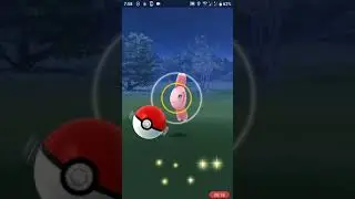 Pokémon Go  Alomomola  ママンボウ  保母曼波