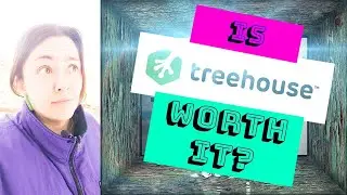 48 software developers rate Treehouse || Team Treehouse review 2020