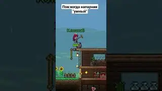 Валун показал кто тут батя #terraria #terraria14 #terraria144 #террария #террарияпрохождение