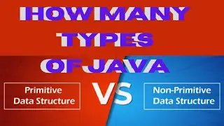 How Many Types of Java? | Learn Primitive and Non-Primitive Data Types