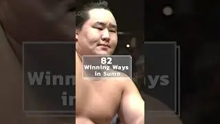 The Art of Sumo