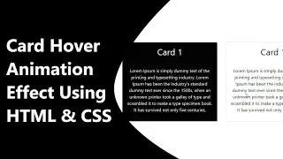 Card Hover Animation Effect | Background Color Change Animation | Using HTML and CSS