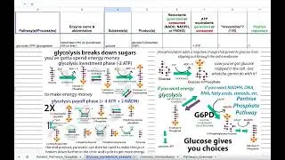 Metabolism study strategy suggestion - integrated chart spreadsheet (template link in comments)