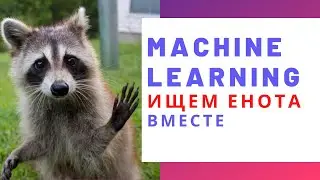 MJC Stream: See the raccoon? And he is! The main thing about ML and computer vision