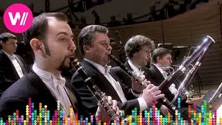 Tchaikovsky - Symphony No. 5 in E minor, Op. 64 (Mariinsky Theatre Orchestra, Valery Gergiev)