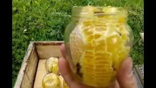 Сотовый мед Итог сезона 2015