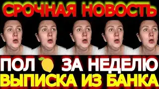 Как побирушкин адвокат🥑судью обманул/Деревенский Дневник Очень Многодетной Мамы