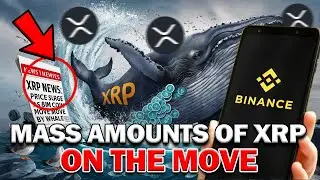 Ripple XRP News - Massive Amounts of XRP on the Move! Whales Preparing for a HUGE Breakout! 💥