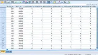 Converting HCUP NIS Files from .ASC into SPSS