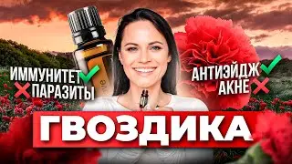 ГВОЗДИКА | Скажи ДА Иммунитету и НЕТ Паразитам. Обзор свойств эфирного масла гвоздики