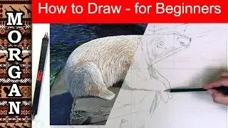 How to draw for beginners : using proportional dividers - Jason Morgan wildlife art