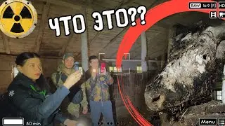 Нашли это в зоне отчуждения, на заброшенной ферме Чернобыля