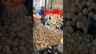 ना बाल बचता है ना खाल😱😱 India's ONLY Zero Waste Food Industry😳😳 #indianstreetfood #shorts #india