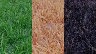 Procedural Nodes (part 61) - Procedural Grass Texture in Blender