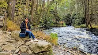 Hiking Day at BUSHKILL FALLS~ Pennsylvania