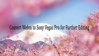 Convert Webm to Sony Vegas Pro for Further Editing