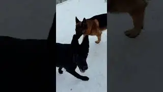 Пристает