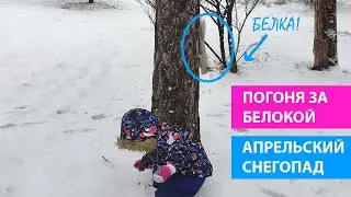 Готовим и лепим с дочкой. Апрельский снегопад. Погоня за белкой.