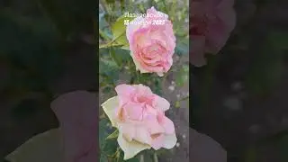 Ноябрь в Лазаревском