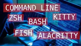 Терминал, командная строка, ZSH, BASH, FISH, Alacritty, Kitty, Foot, URXVT, st