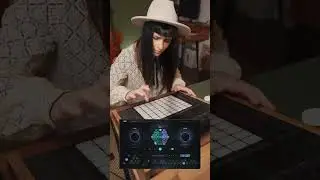 Add phase-perfect sub bass and kicks with Subcraft. Tight, powerful low-end for any genre. ✨