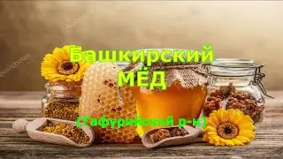 Видео про вкусный мед