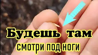 Остров Кипр