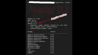 How to Check Angular Version using Command Line