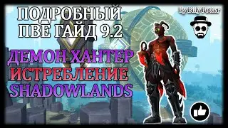 ДЕМОН ХАНТЕР ИСТРЕБЛЕНИЕ (ДД) | ПАТЧ 9.2 | ПВЕ НЕДО